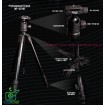 Fancier WF-531BT Professional Ballhead Tripod
